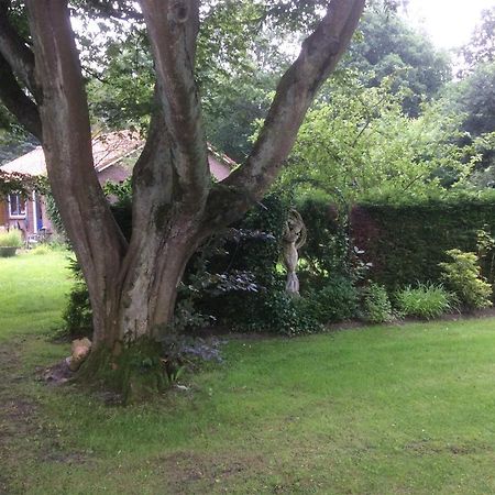 Vakantiehuisje Vlakbij De Duinen Oostvoorne Exterior foto